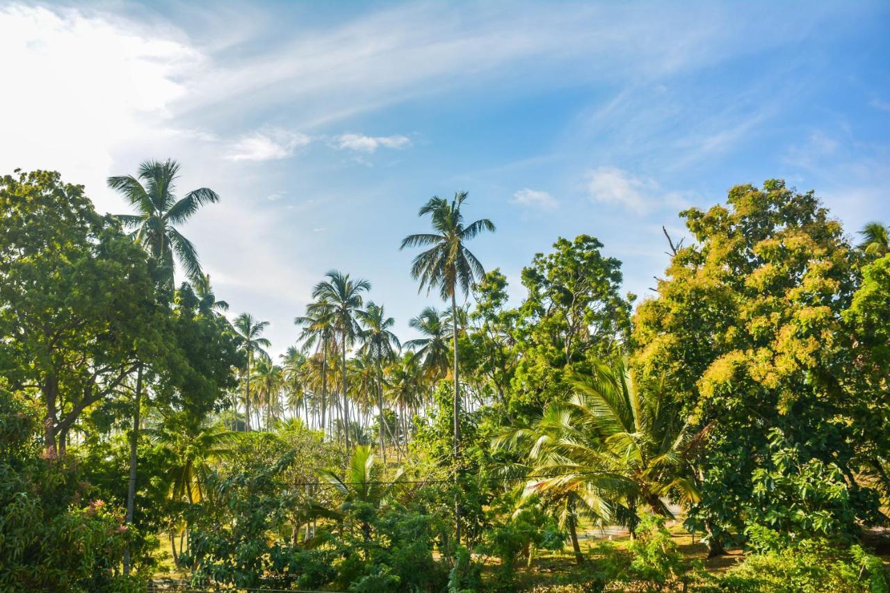 Janu Homestay Tangalle Exterior photo